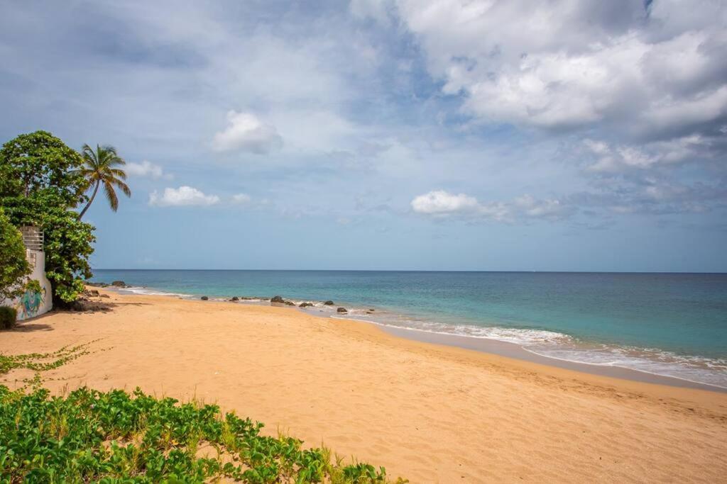 Vwe Moun Bay Apartment Deshaies Ngoại thất bức ảnh